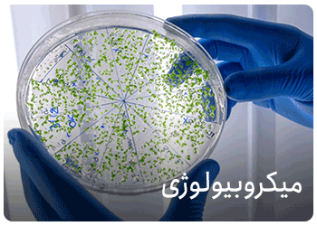 فروش محیط کشت های میکروبی