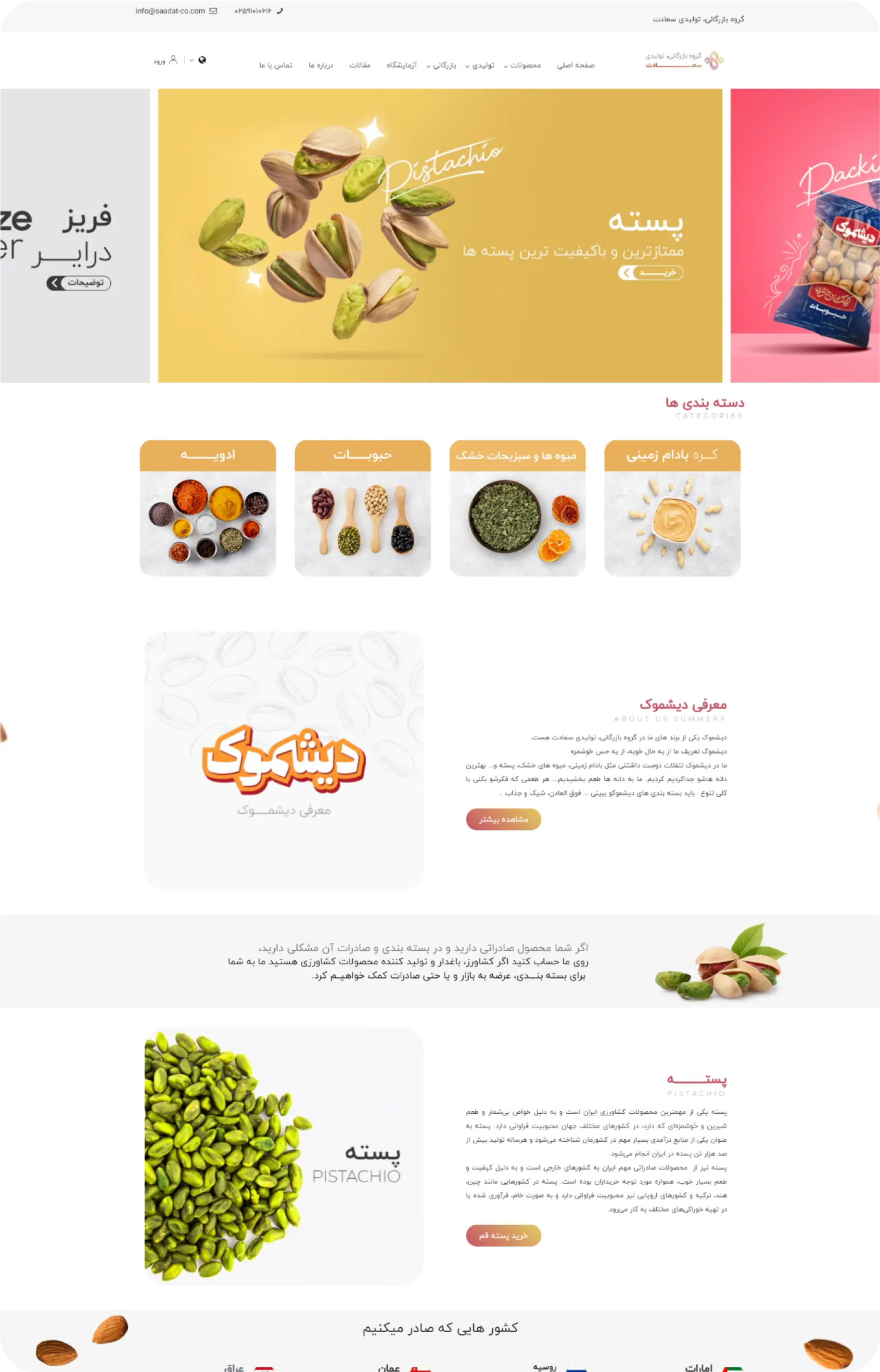 نمونه وبسایت طراحی شده